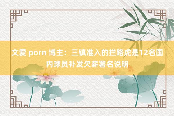 文爱 porn 博主：三镇准入的拦路虎是12名国内球员补发欠薪署名说明