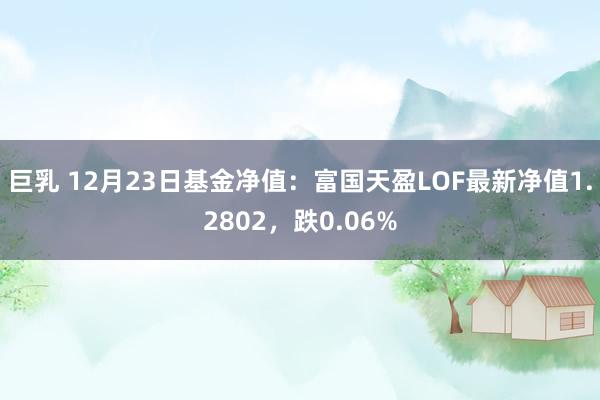 巨乳 12月23日基金净值：富国天盈LOF最新净值1.2802，跌0.06%