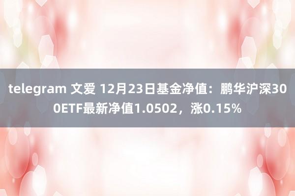 telegram 文爱 12月23日基金净值：鹏华沪深300ETF最新净值1.0502，涨0.15%