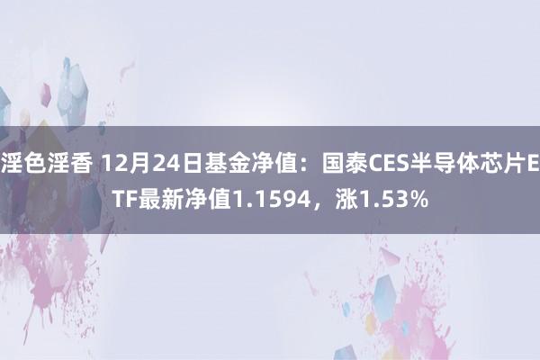 淫色淫香 12月24日基金净值：国泰CES半导体芯片ETF最新净值1.1594，涨1.53%