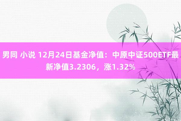 男同 小说 12月24日基金净值：中原中证500ETF最新净值3.2306，涨1.32%