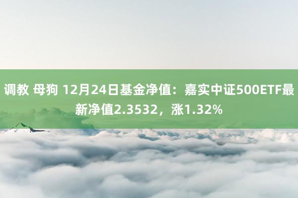 调教 母狗 12月24日基金净值：嘉实中证500ETF最新净值2.3532，涨1.32%