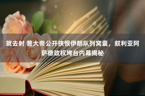 就去射 普大帝公开挟恨伊朗队列窝囊，叙利亚阿萨德政权垮台内幕揭秘