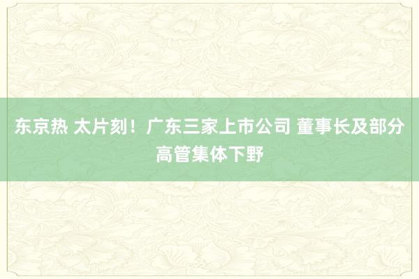 东京热 太片刻！广东三家上市公司 董事长及部分高管集体下野