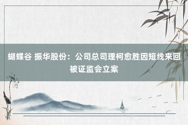 蝴蝶谷 振华股份：公司总司理柯愈胜因短线来回被证监会立案