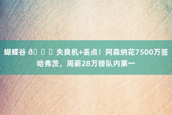 蝴蝶谷 🙁失良机+丢点！阿森纳花7500万签哈弗茨，周薪28万镑队内第一