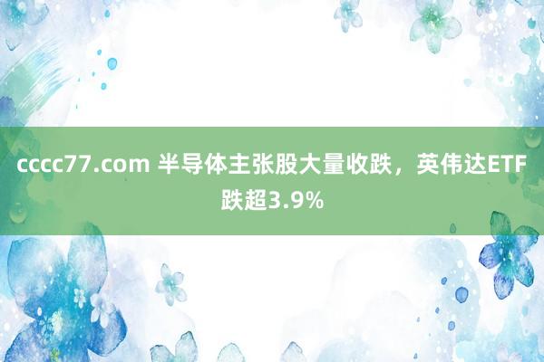 cccc77.com 半导体主张股大量收跌，英伟达ETF跌超3.9%