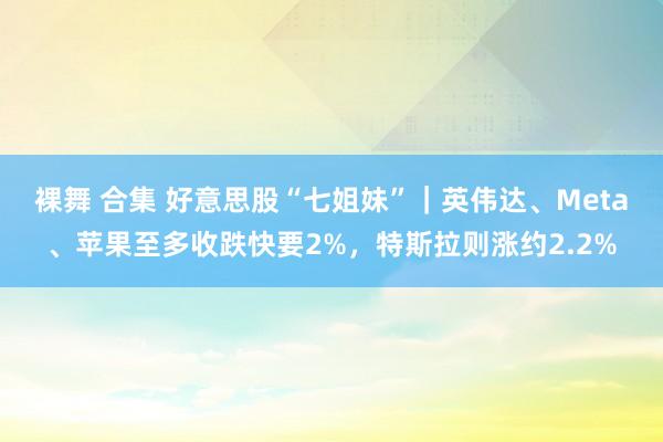 裸舞 合集 好意思股“七姐妹”｜英伟达、Meta、苹果至多收跌快要2%，特斯拉则涨约2.2%