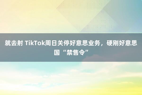 就去射 TikTok周日关停好意思业务，硬刚好意思国 “禁售令”