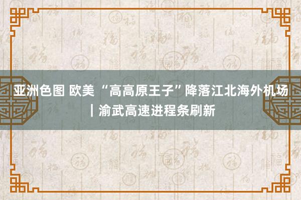 亚洲色图 欧美 “高高原王子”降落江北海外机场｜渝武高速进程条刷新