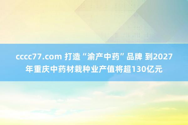 cccc77.com 打造“渝产中药”品牌 到2027年重庆中药材栽种业产值将超130亿元